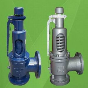 Spring Loaded Safety Valve