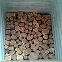 Benin Teak Wood Logs