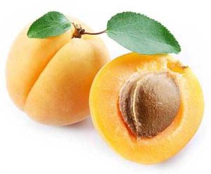 Fresh Apricot