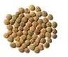 Richlea Lentils