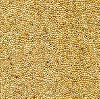 Millet Seeds