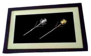 Silver & Gold Rose Wall Frame