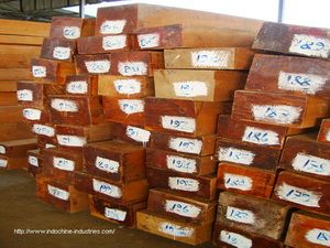 Sawn Teak Lumber