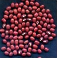 Red Bamboo Beans