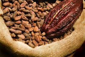 cocoa beans