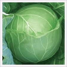 fresh cabbage