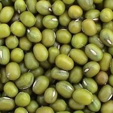 Green Mung Bean
