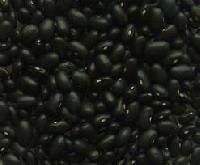 Black Beans, Red Beans