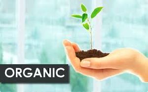 Organic Consultancy and Certification Services
