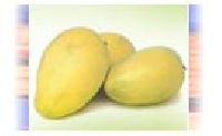 Beganphalli Mango