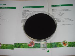 Potassium Humate 85% Granule
