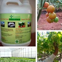 Agriculture Fertilizer