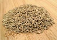 cumin powder