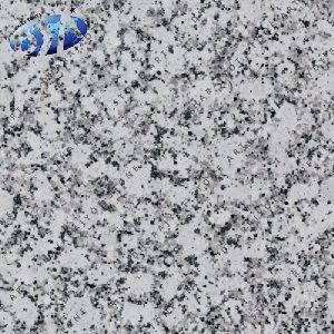 Platinium White Granite