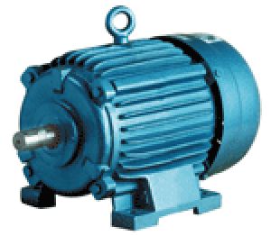 A.C. Squirrel Cage Induction Electric Motors