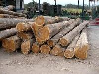 African Hardwood Logs