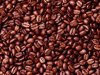 Coffee Beans 03