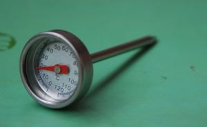 Mini Meat Thermometer