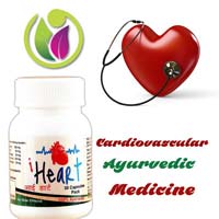 cardiovascular ayurvedic medicine