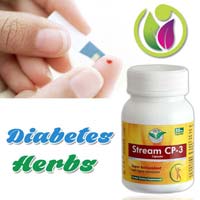 Diabetes Herbs