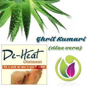 Ghrit Kumari (Aloe Vera)