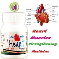Heart Muscles Strengthening Medicine