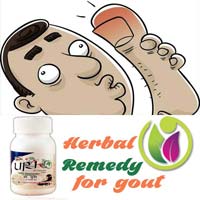 Herbal Remedy for Gout