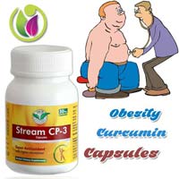 Obesity - Curcumin Capsules
