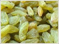 Indian Raisins