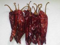 Dry Red Chilli