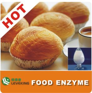 Food Enzyme Xylanase