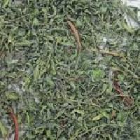 Organic Indigo Leaves (Organic Indigofera Tinctoria)