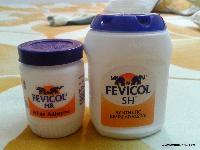 Fevicol Adhesive