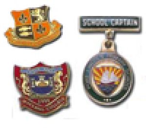 School Badges