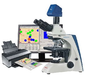 RI Morphology