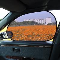 Static Cling Spring Sunshade