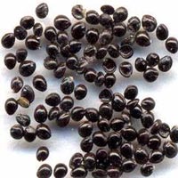 Amaranthus Seeds