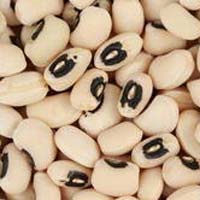 Cow Pea Seed
