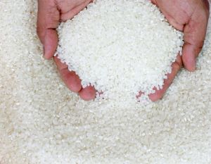 white rice