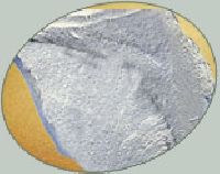 Levigated China Clay
