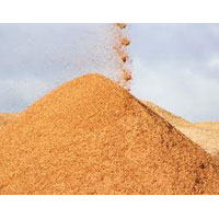 Sawdust, Indian Sawdust