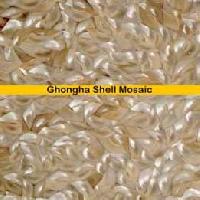Ghongha Shell Mosaic Stones