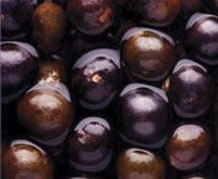 Acai Berry Powder, Brand Name : prover brasil