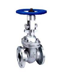 gate valve