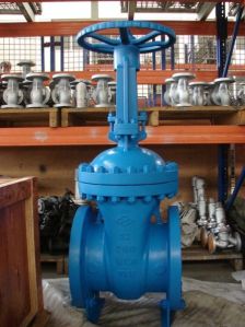 gate valve
