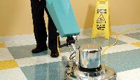Verus Soft Surface Floor Cleaner