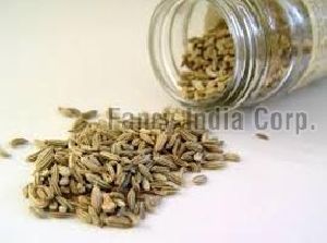 fennel seeds