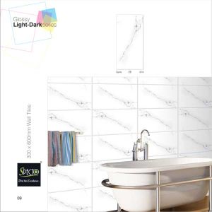 Glossy Light Dark Wall Tiles