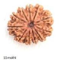 11 Mukhi Nepali Rudraksha Beads