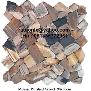 Mozaic Petrified Wood Mozaic Petrified Wood